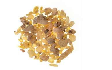 Guggul Gum